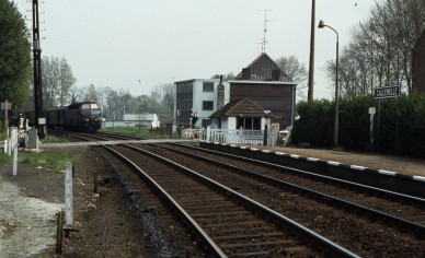 Callenelle - TH 80-3695.jpg